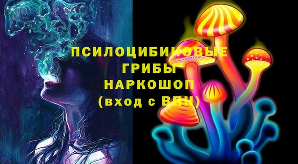 герыч Новозыбков