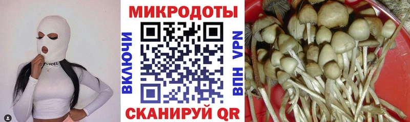 даркнет сайт  Белая Холуница  Галлюциногенные грибы прущие грибы 
